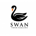 Swan